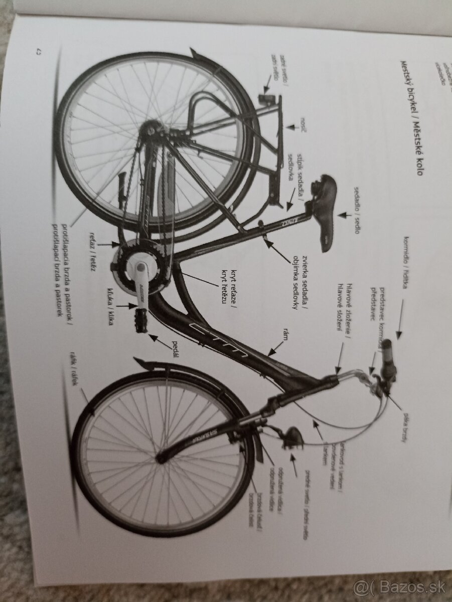 Damsky mestsky bicykel RITA 2.0