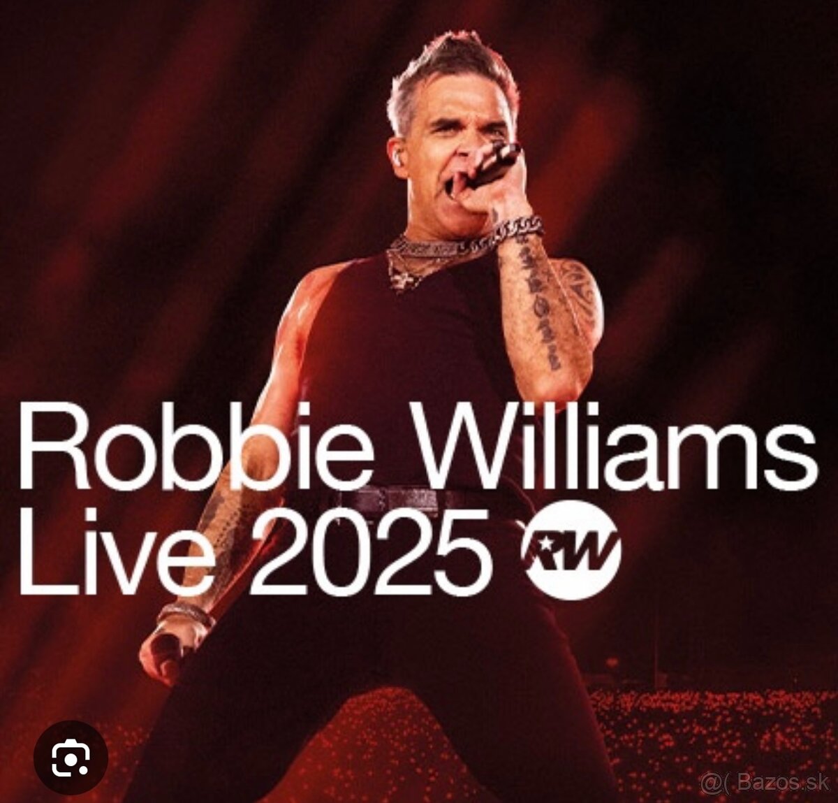 Robbie Williams VIEDEN