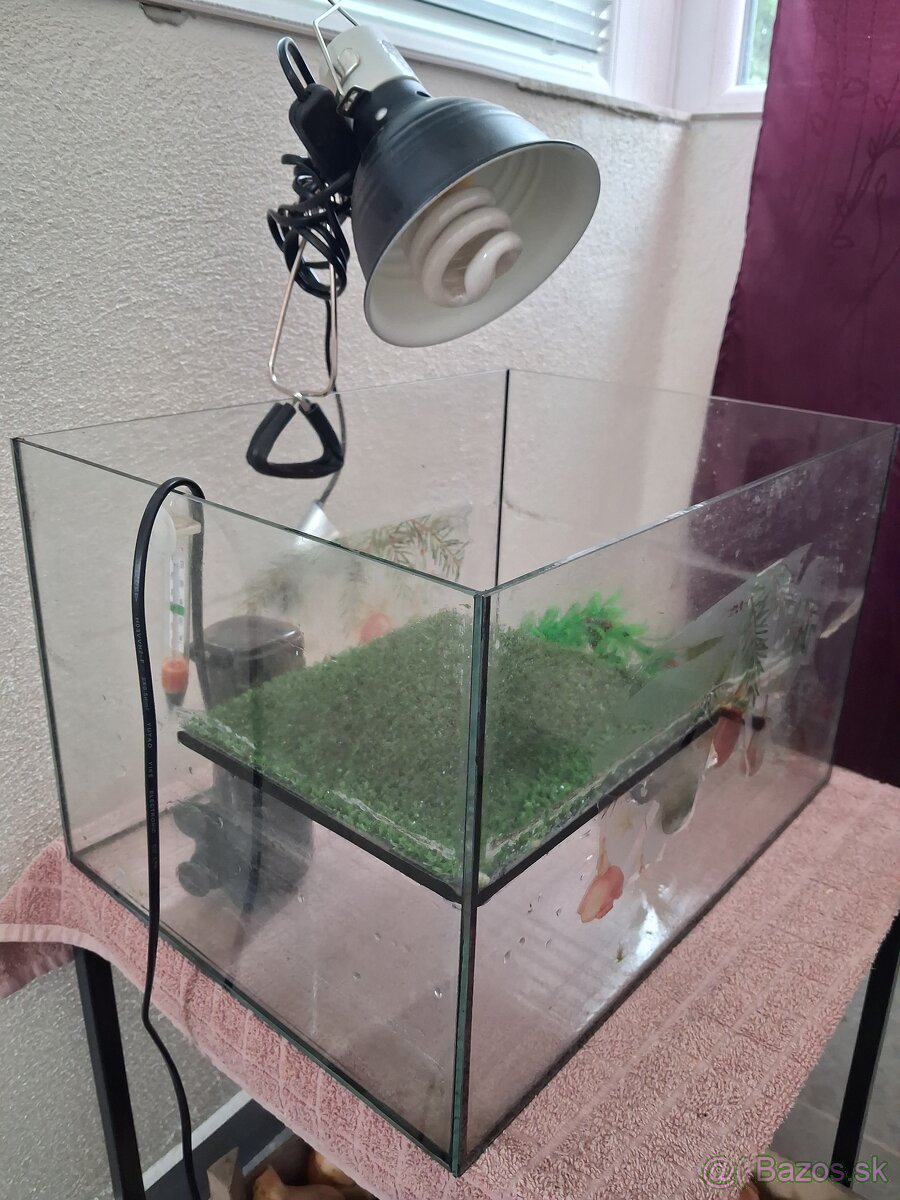 Akvárium pre korytnačky
