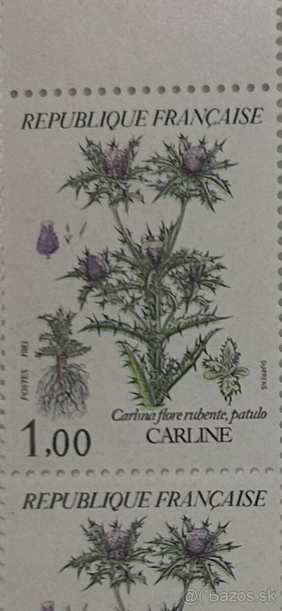 Námetová zbierka kvety