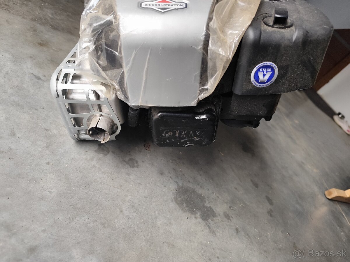 Briggs Stratton