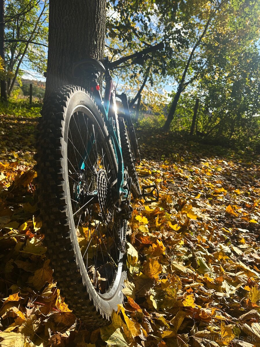 🚵‍♂️ Qayron Carma MKII EN 29” Q | Výborný stav | Jazda, kto