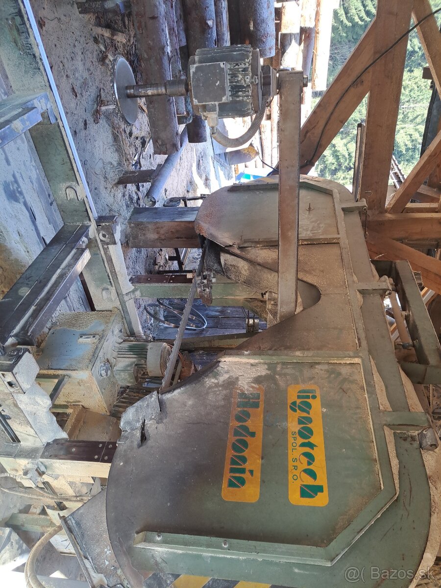 Kmenová pasová pila