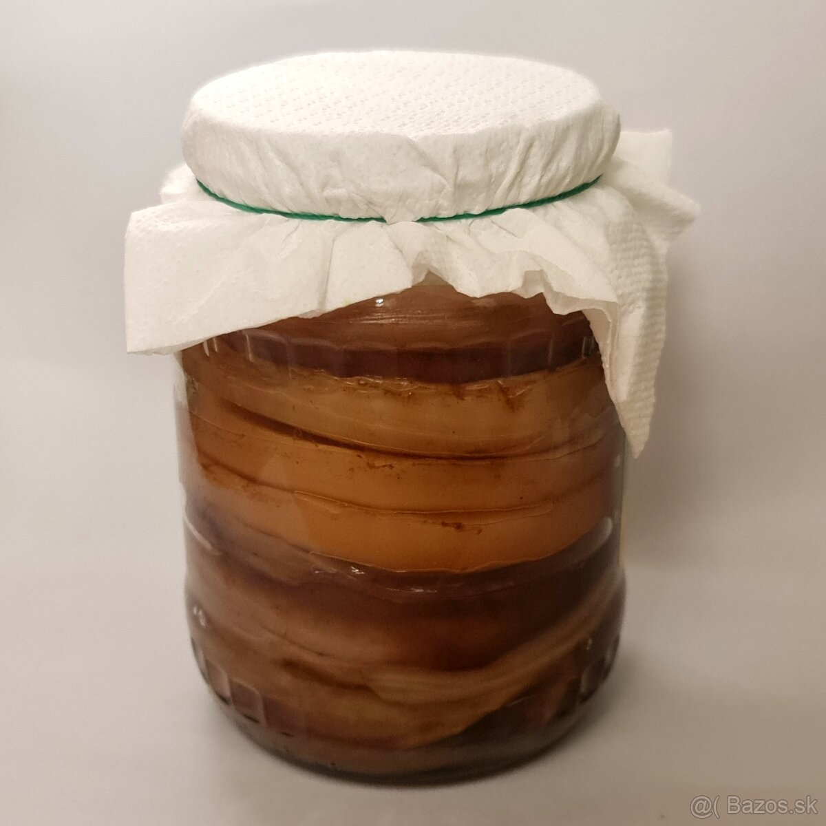 Kombucha SCOBY