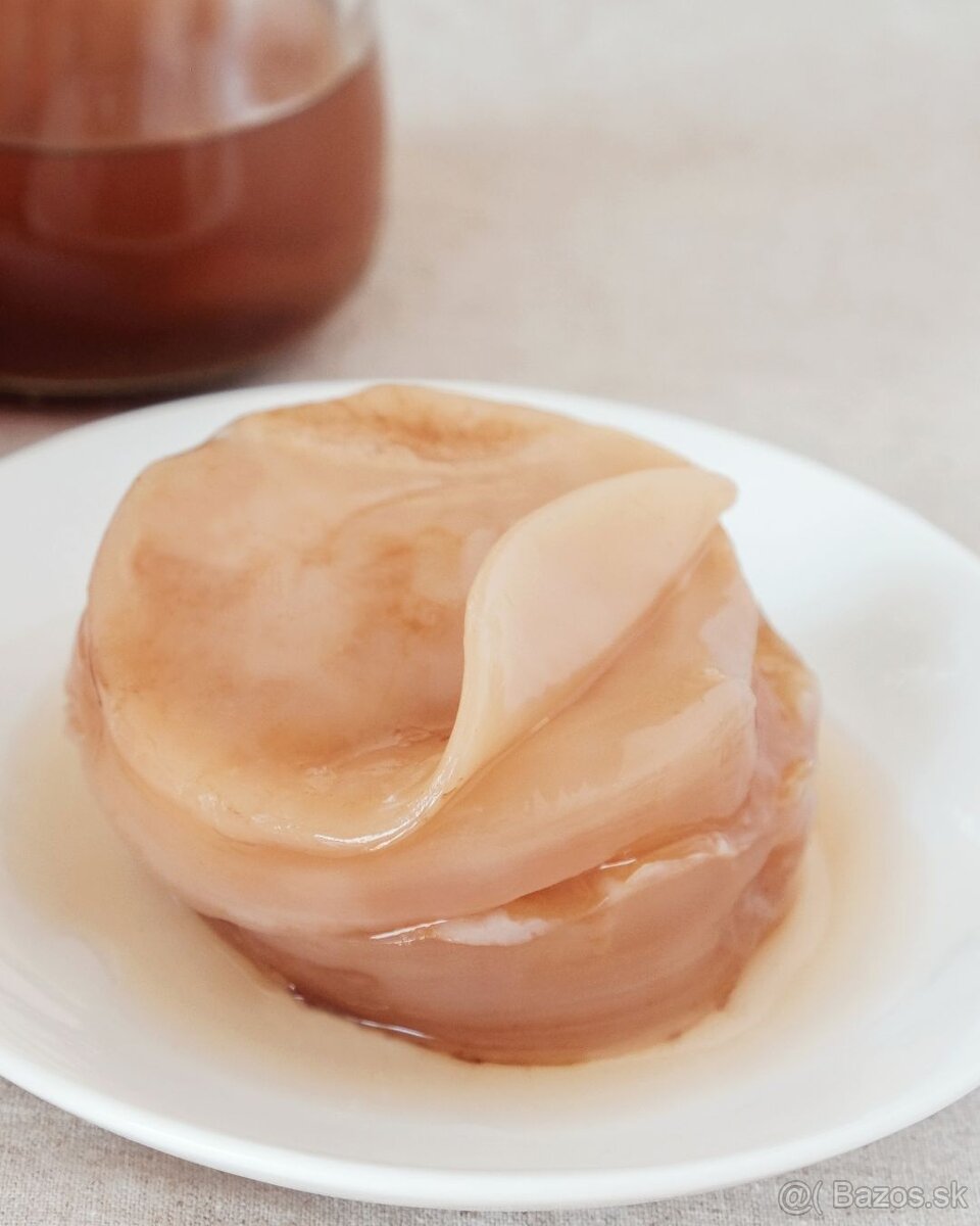 Kombucha + štartovací nálev