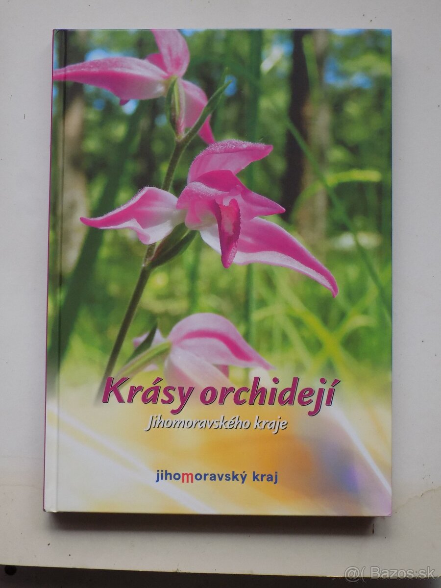 Krásy orchidejí