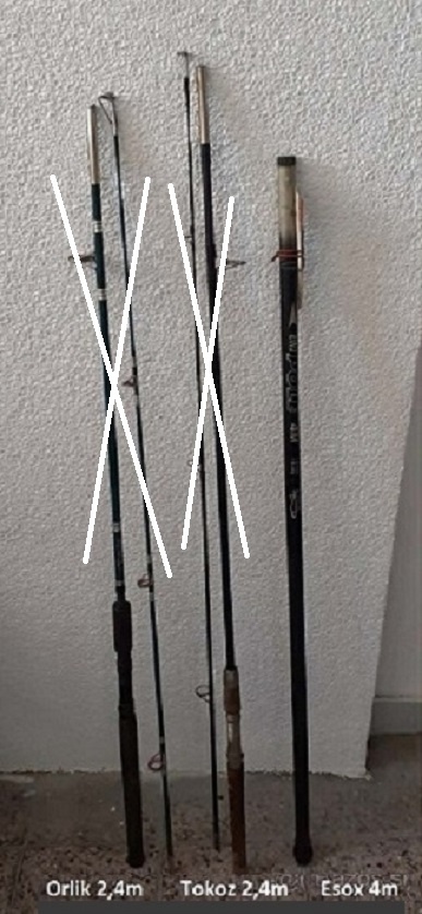 bic ESOX (4 m)