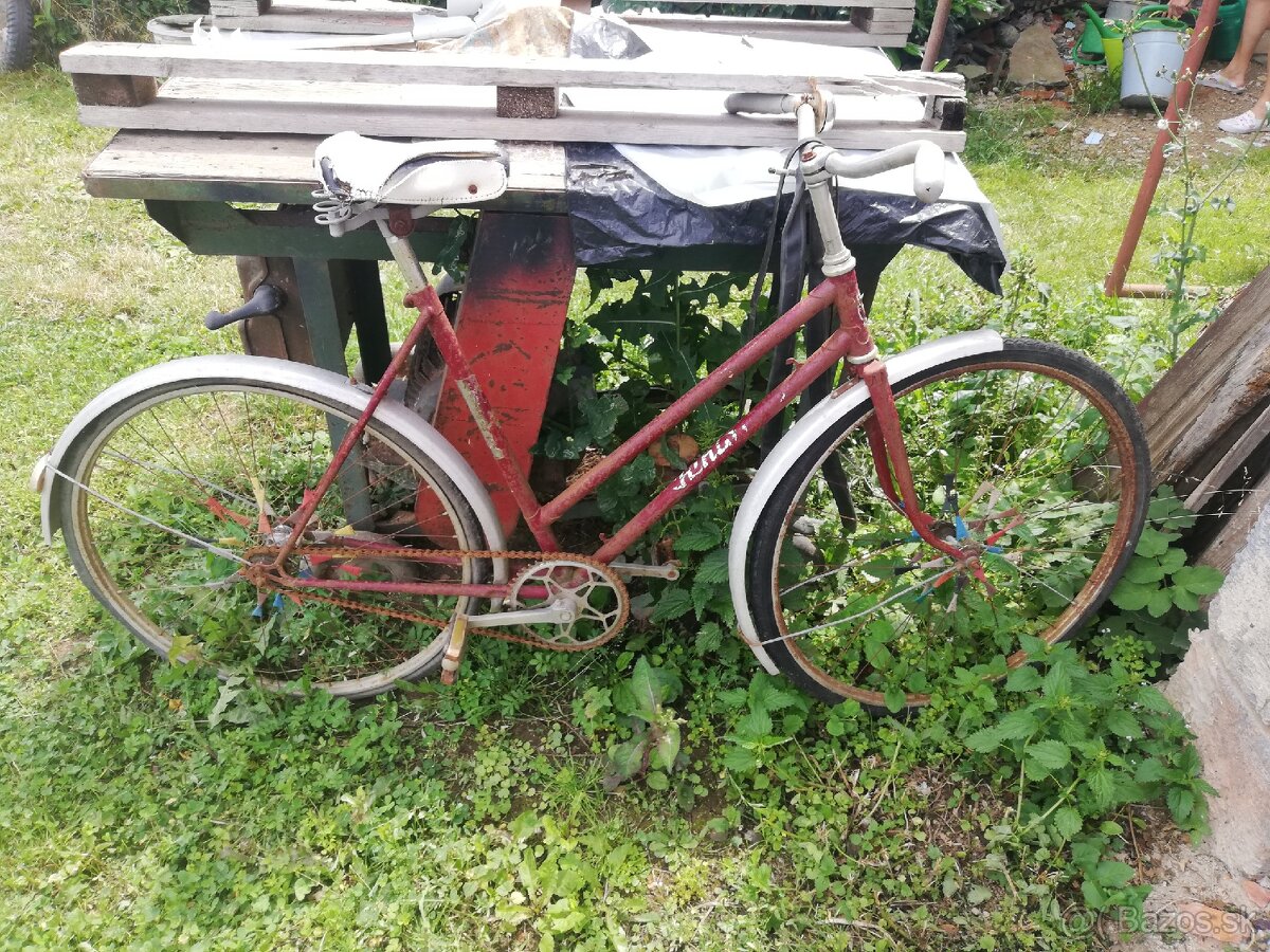 Bicykel Staršieho typu