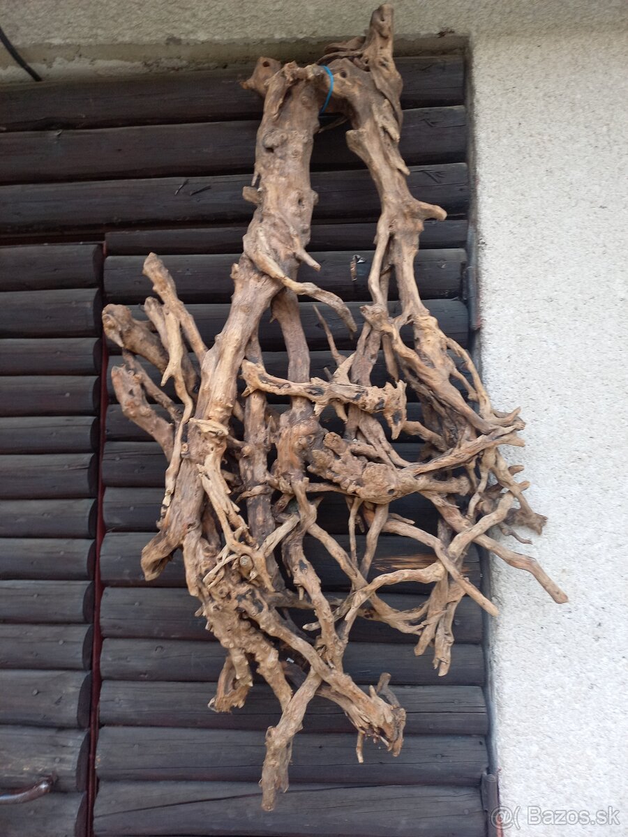 Predám samorast