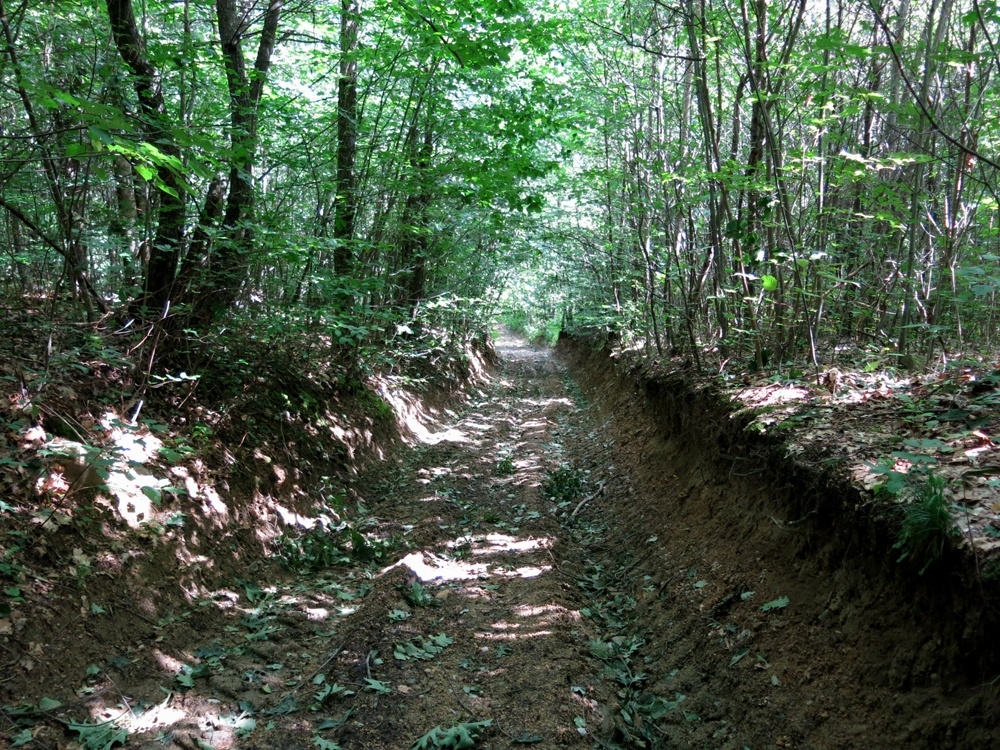 Hľadáme do prenájmu pozemok okolie LV