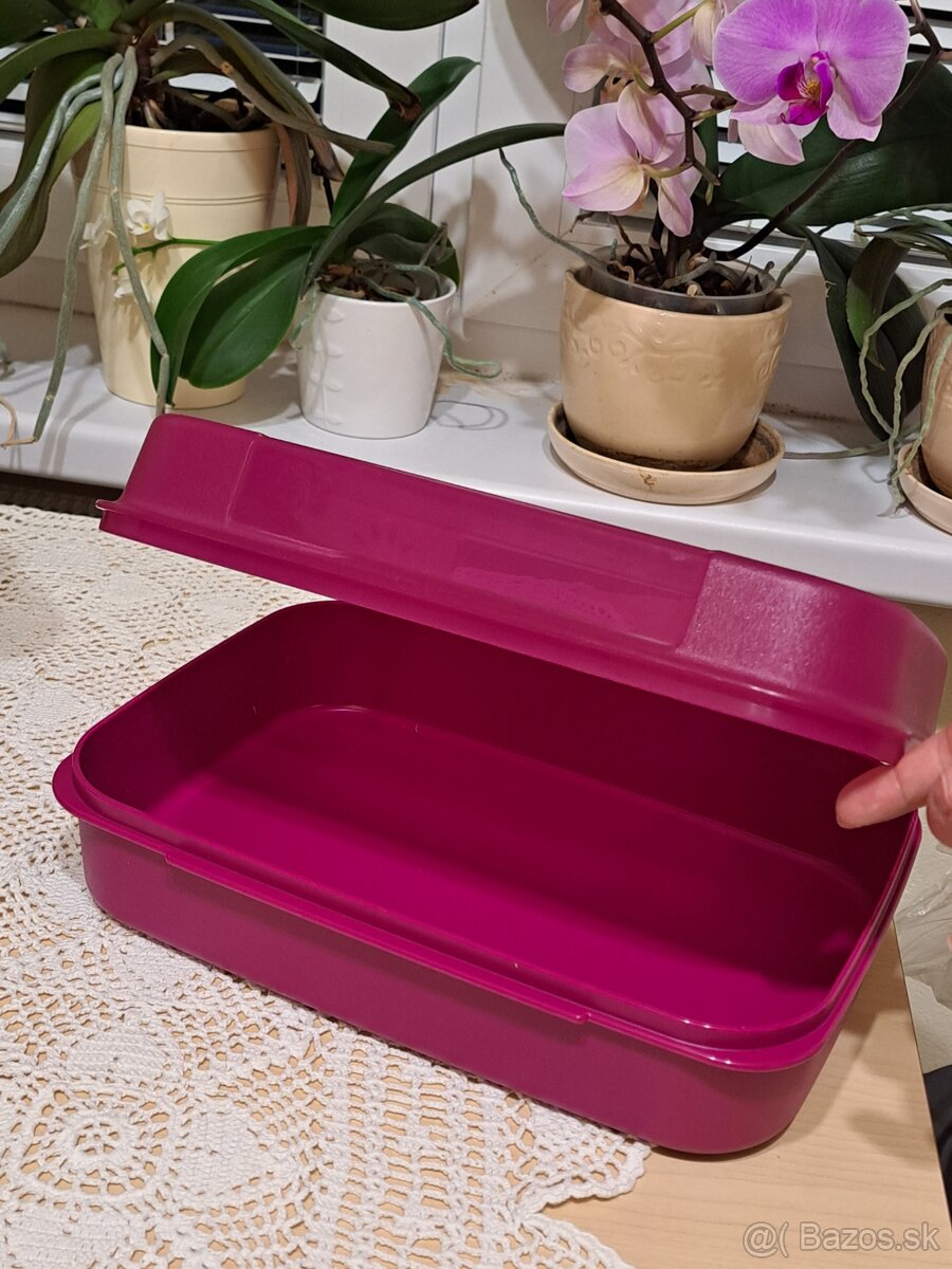 Tupperwarevelky labuznik