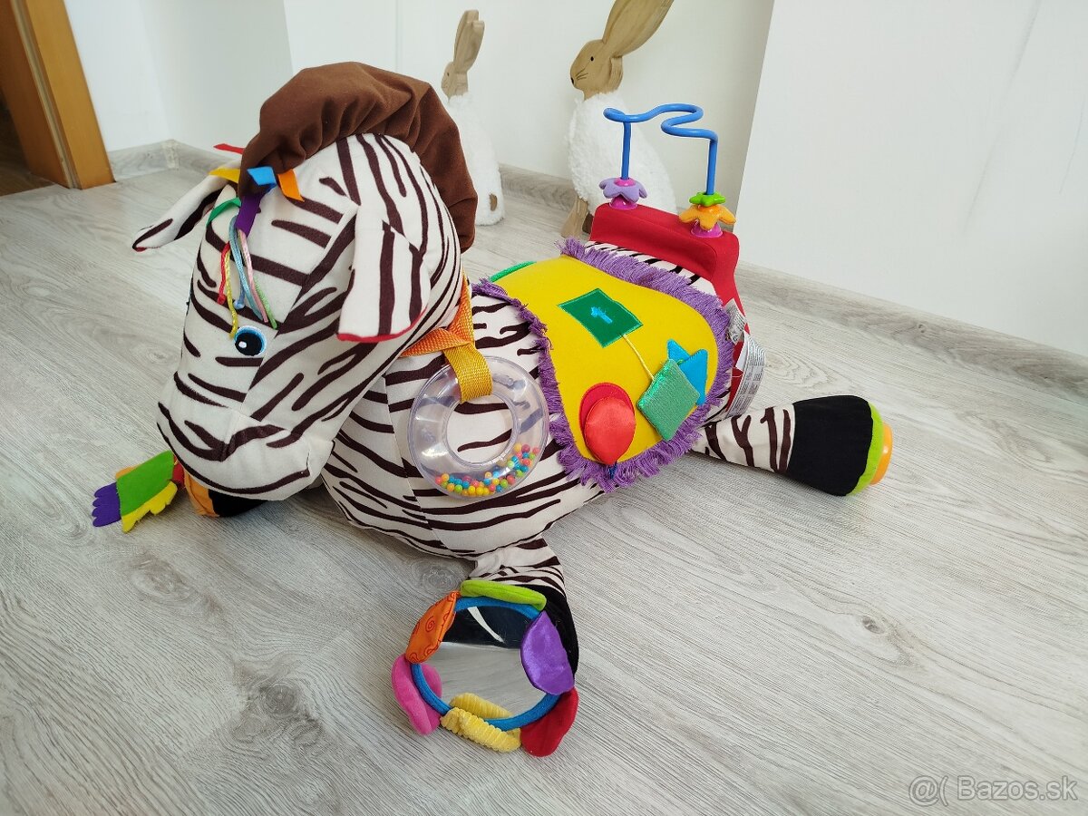 Zebra