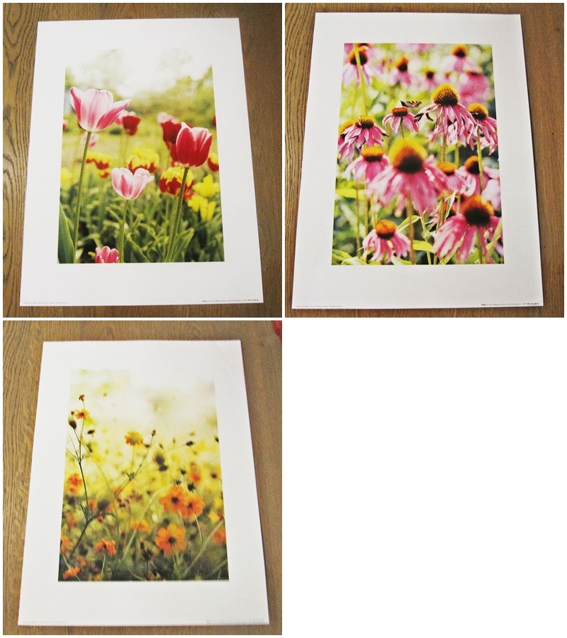 Plagátové printy kvety - sada 3 kusy