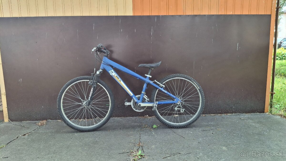 Horský bicykel
