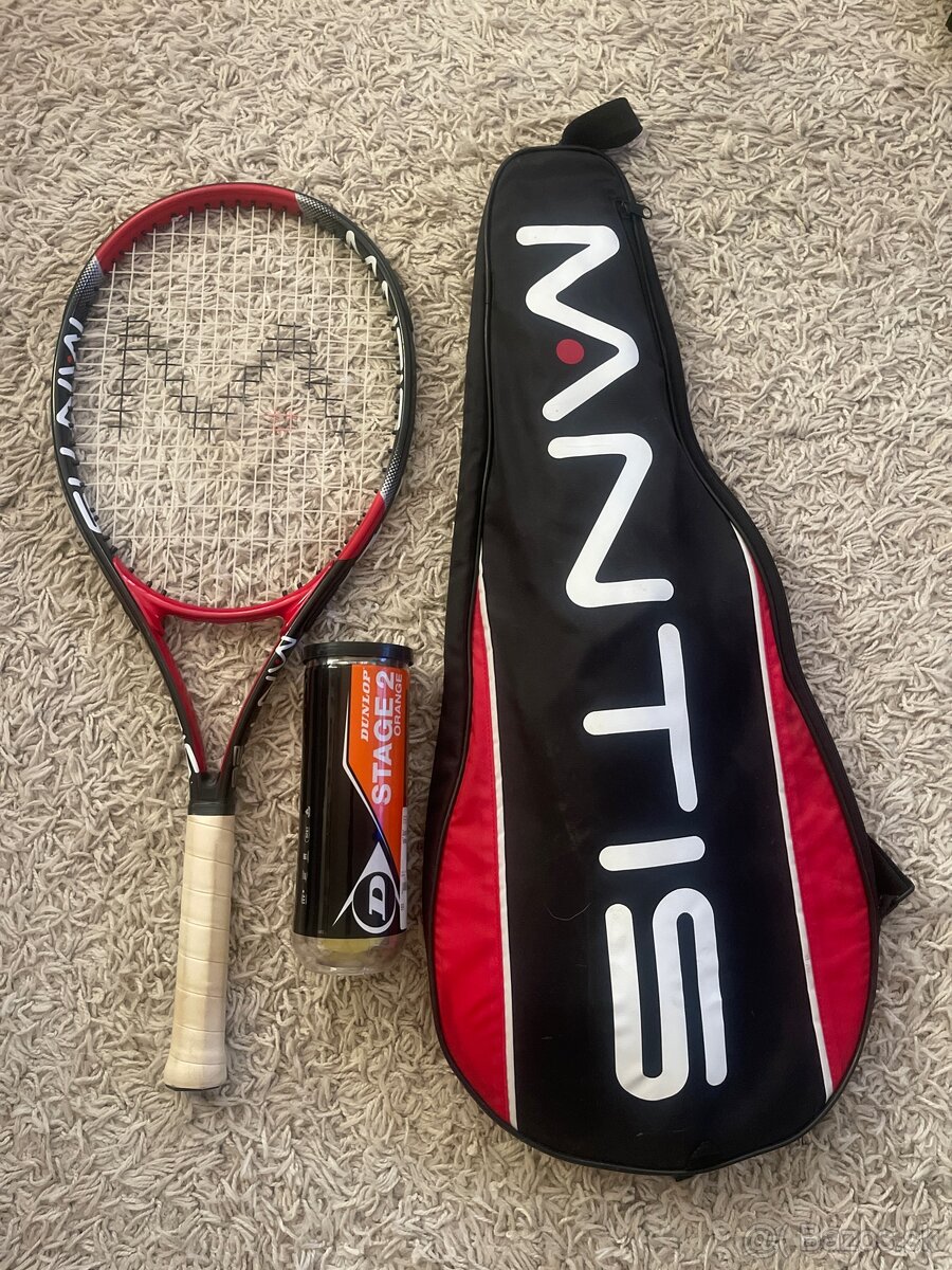 Mantis 26