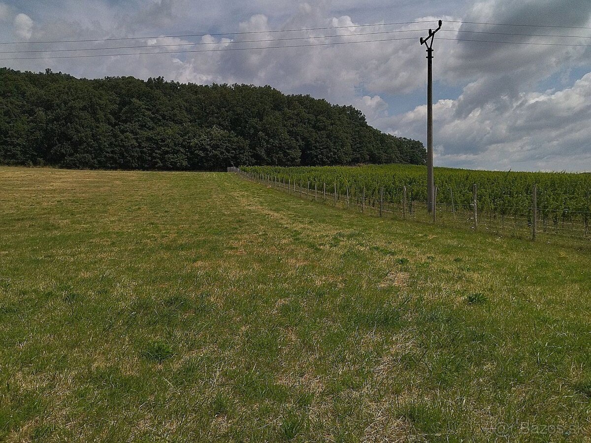 Na predaj budúci stavebný pozemok, pri Trnave, Lošonec.
