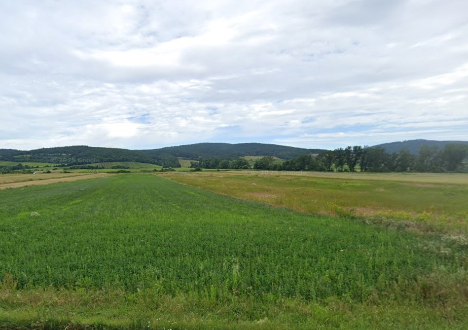 Orná pôda, katastrálne územie Častá