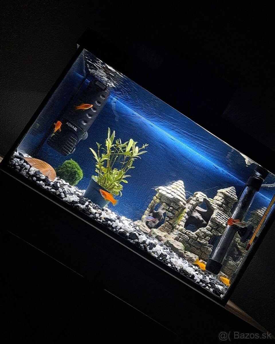 Akvárium s príslušenstvom