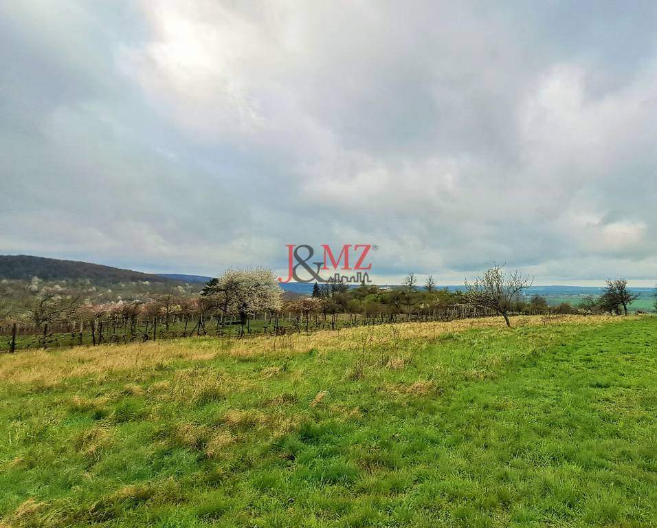 Rekreačný pozemok 2.750 m2, šírka 21 m, Jabloňovce (SM - 830