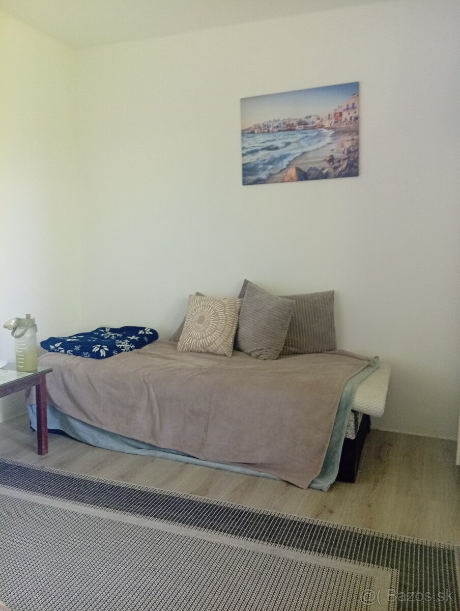 Rent room near veterinary university /Izba / Podhradova