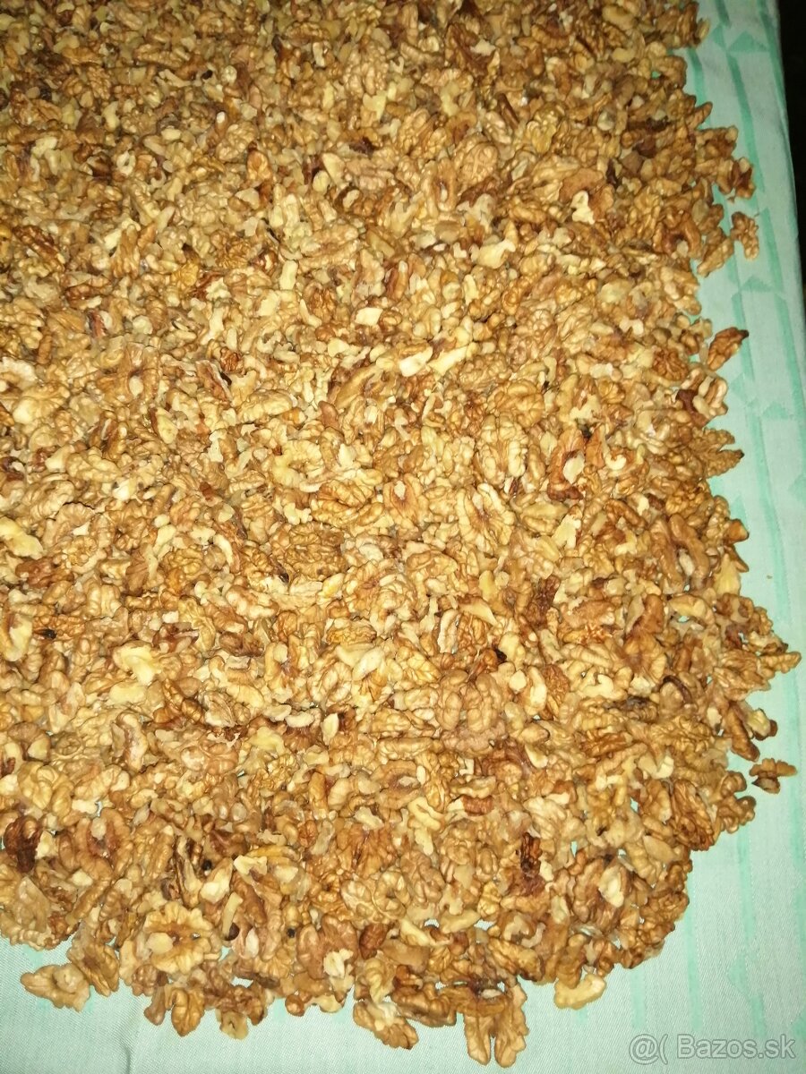 PREDÁM LÚPANÉ VLAŠSKÉ ORECHY