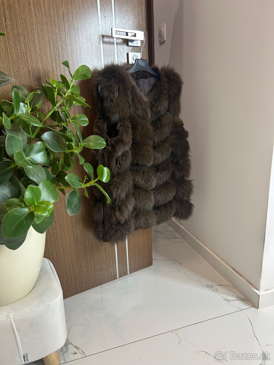 Hneda kozusinova vesta prava