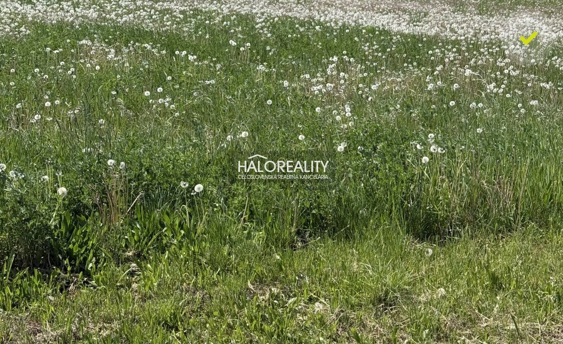 HALO reality - Predaj, pozemok pre rodinný dom 800 m2 Andovc