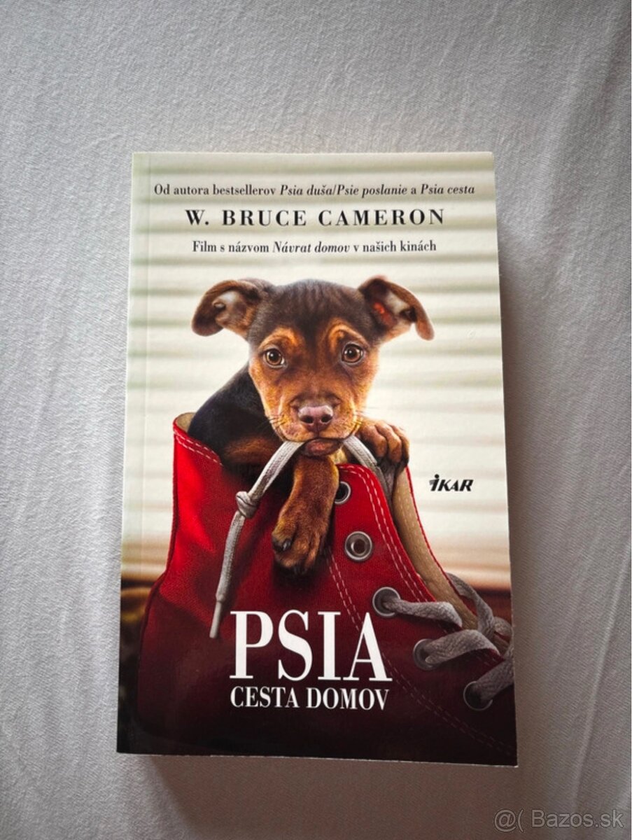 Kniha- Psia cesta domov