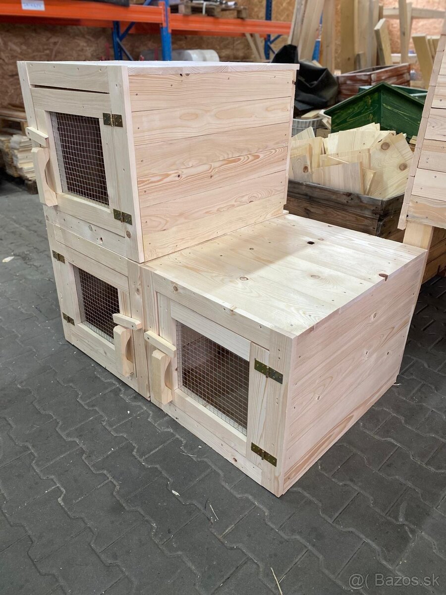 Zajačník - boxový