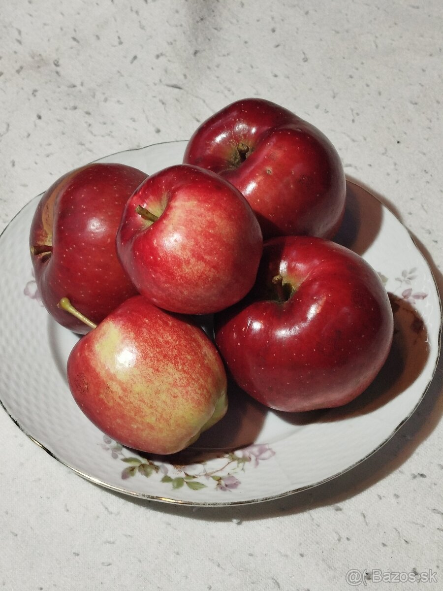jablká na zimné uskladnenie