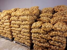 Sadbové zemiaky Soyara