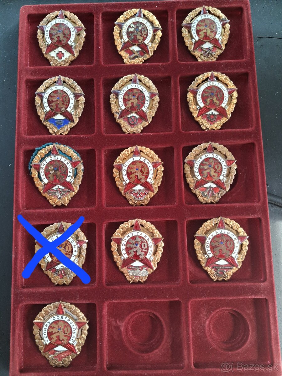 Zbierka odznakov Vzornych vojakov