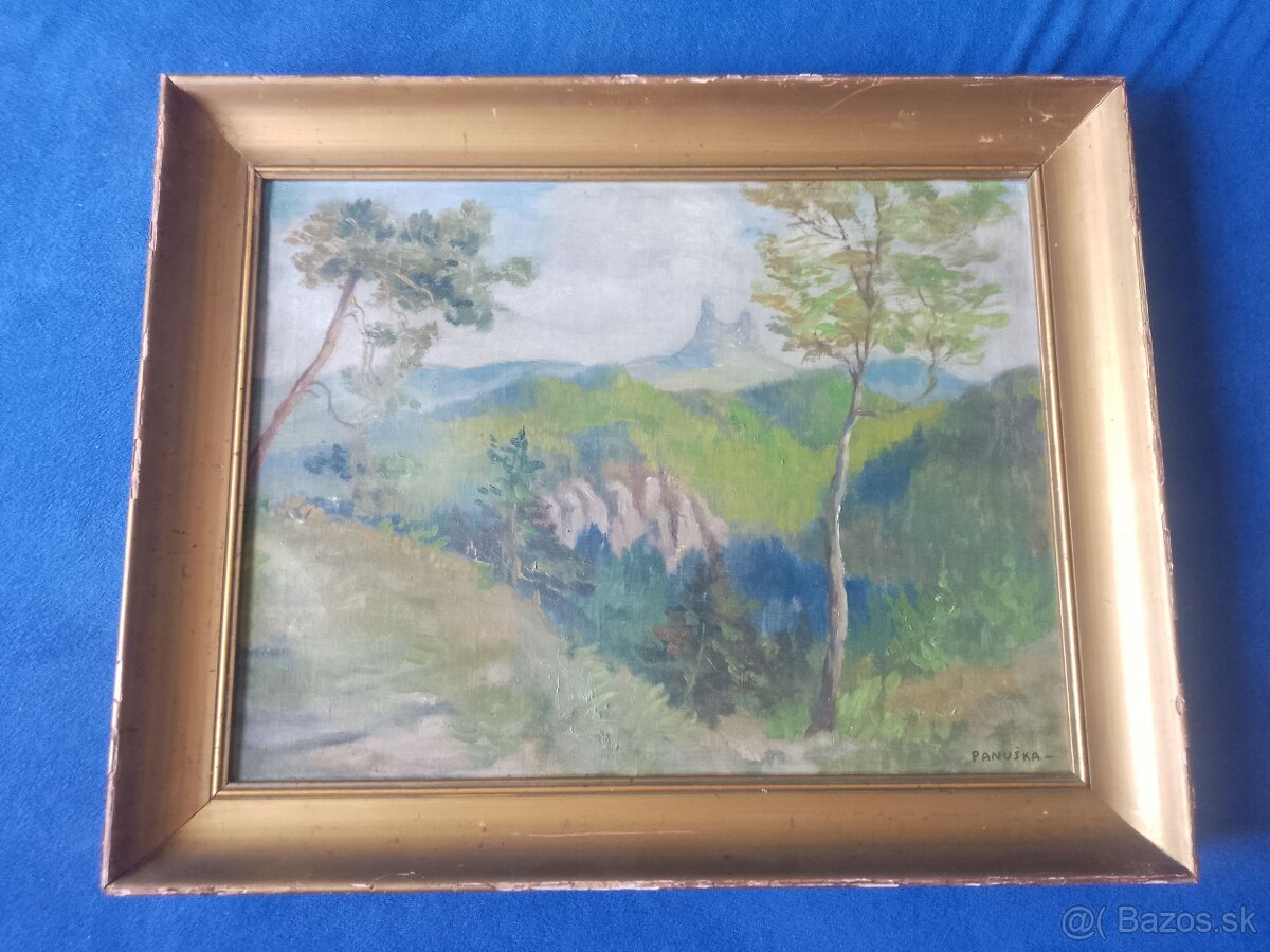 Obraz hory Panuška