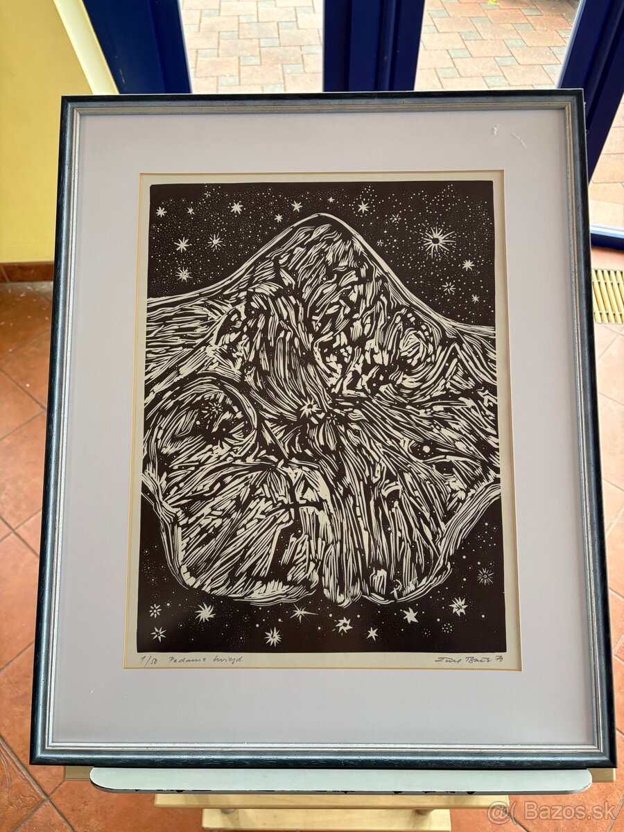 Emil Bačik - Padanie hviezd