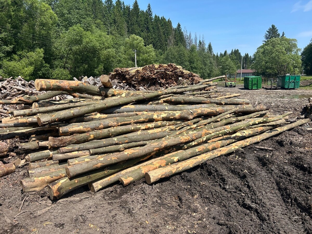Predaj palivového dreva – buk, jaseň, hrab