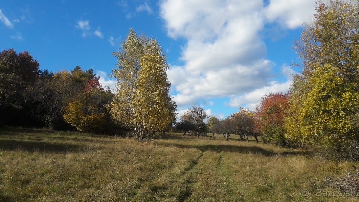 Priestor lásky/ Rodový statok