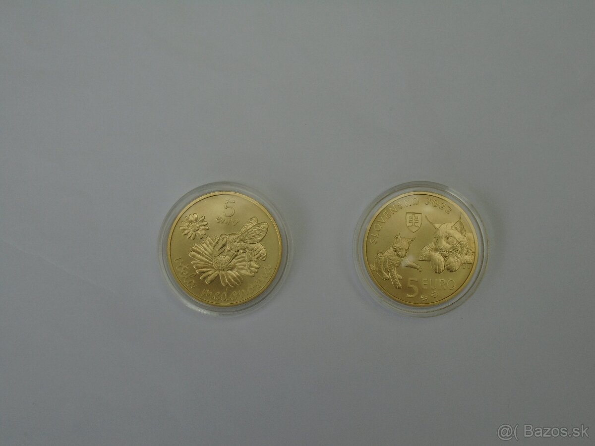5 euro mince