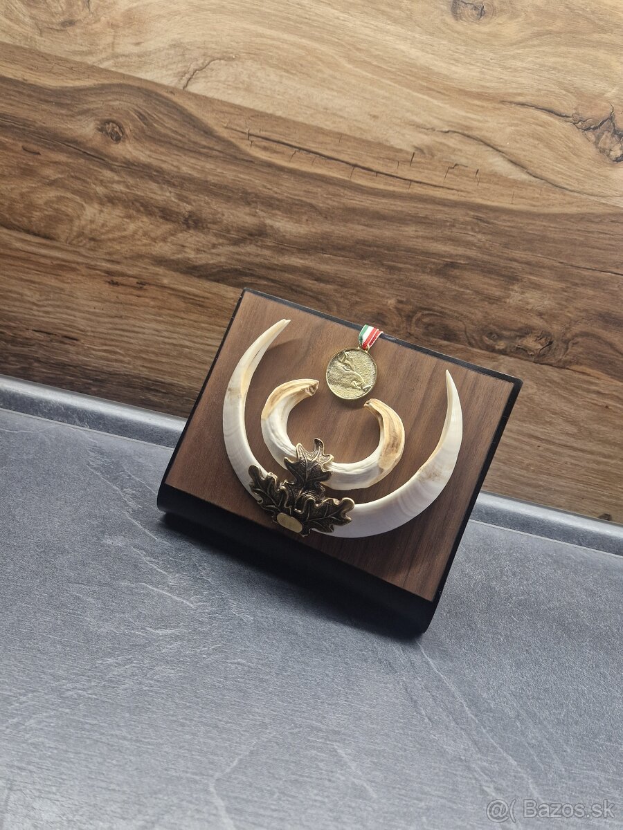 Stojan na trofeje