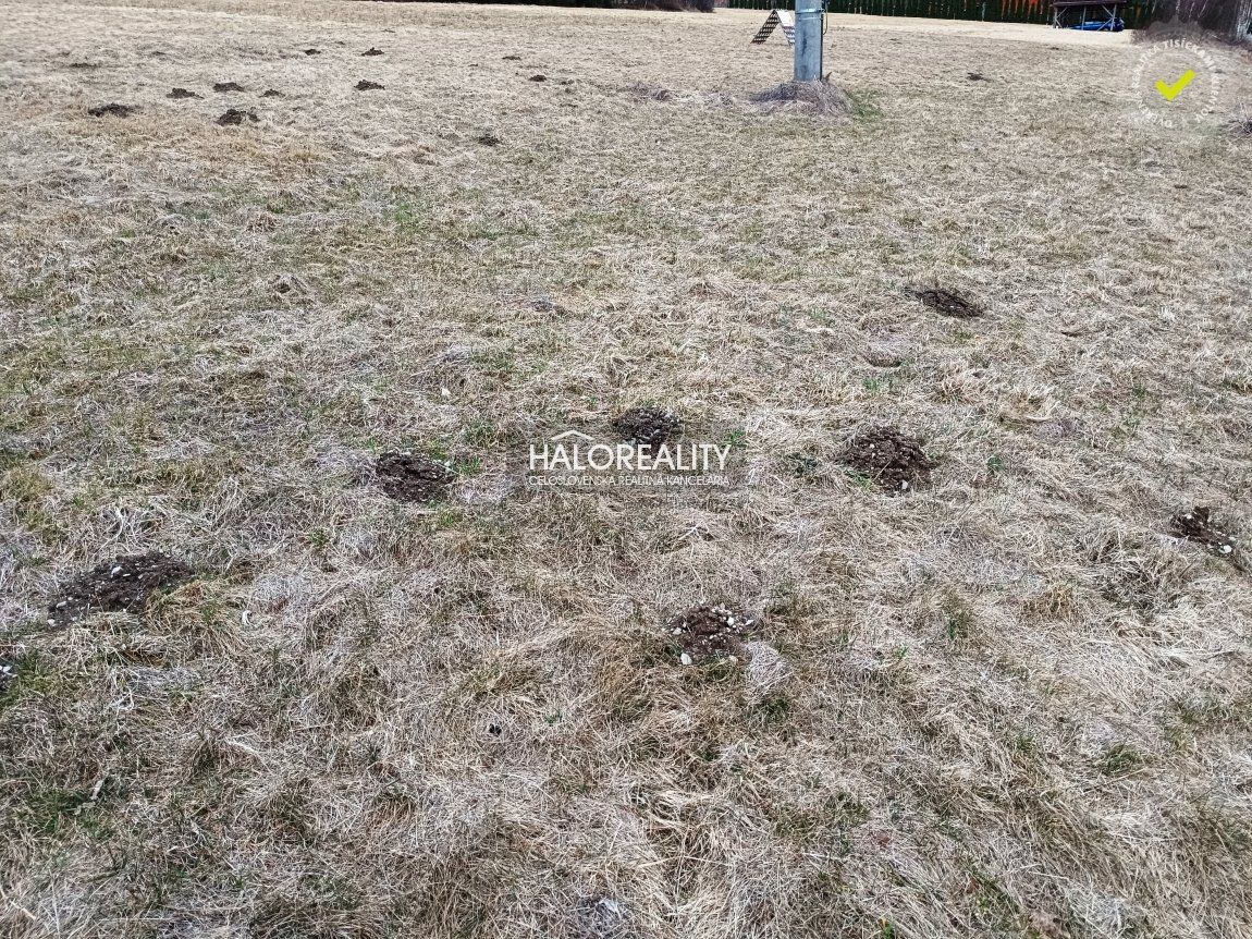 HALO reality - Predaj, rekreačný pozemok Nálepkovo, Zahájnic