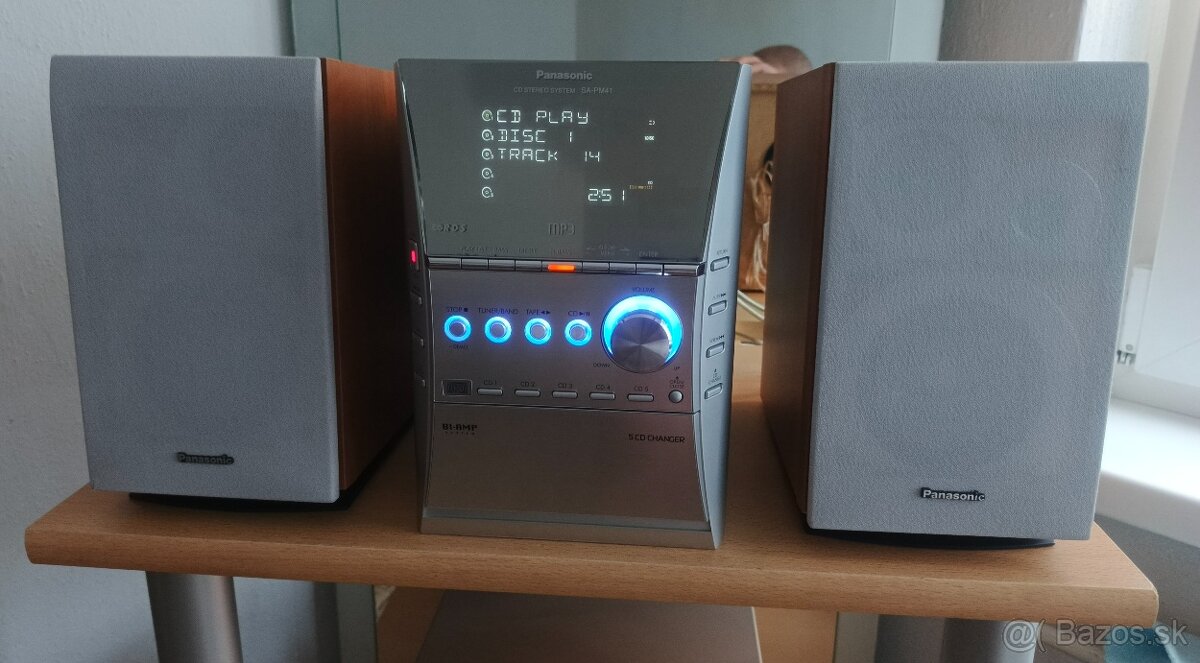 Panasonic