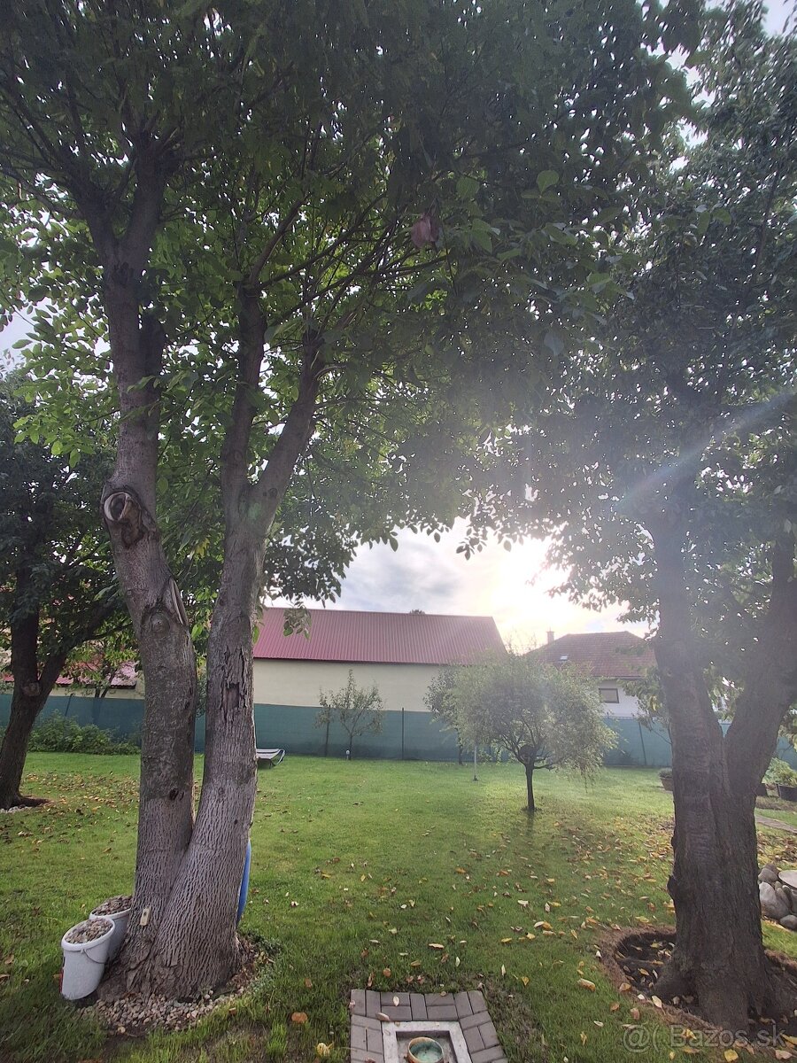 Predám orechové drevo