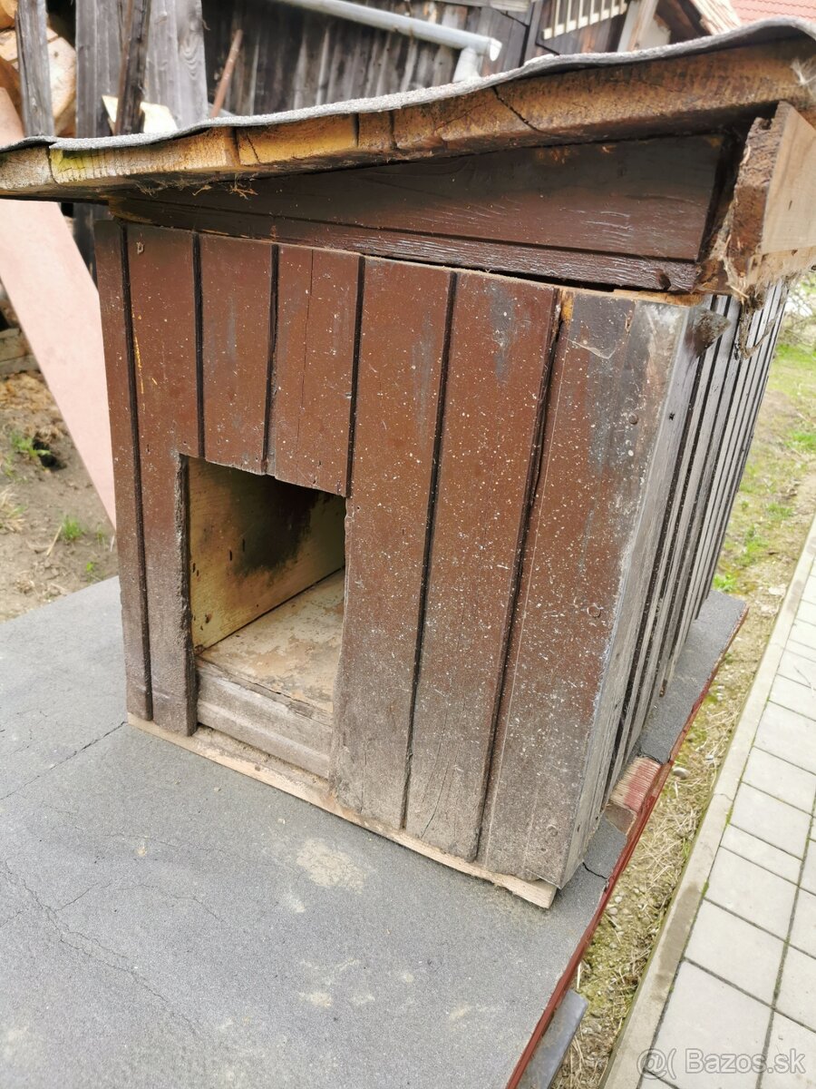 Psia búda