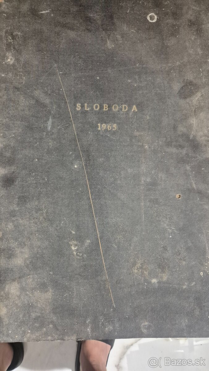 SLOBODA 1965