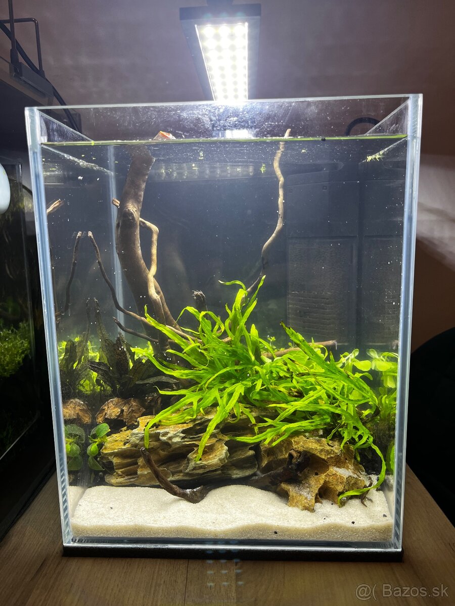 Predám akvárium optiwhite 10l