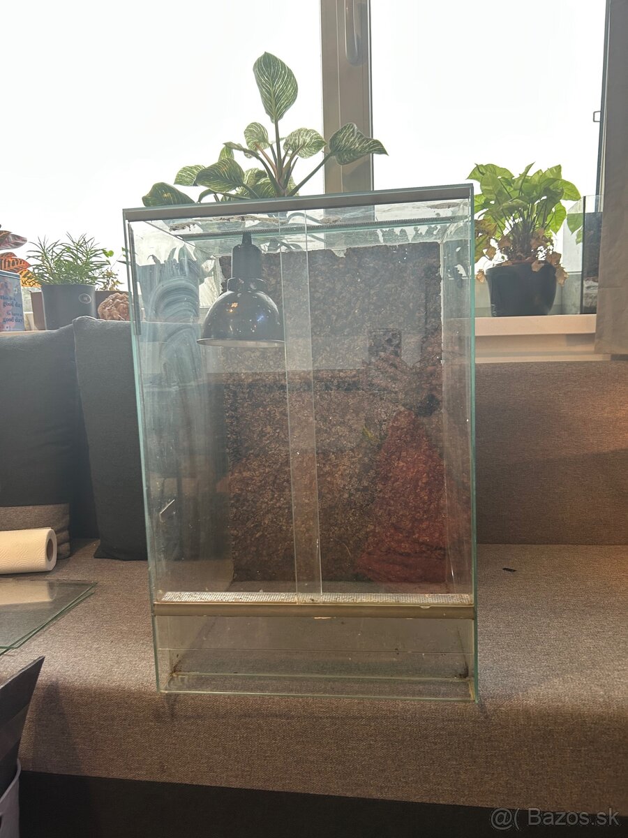 Terárium 60x40x40cm