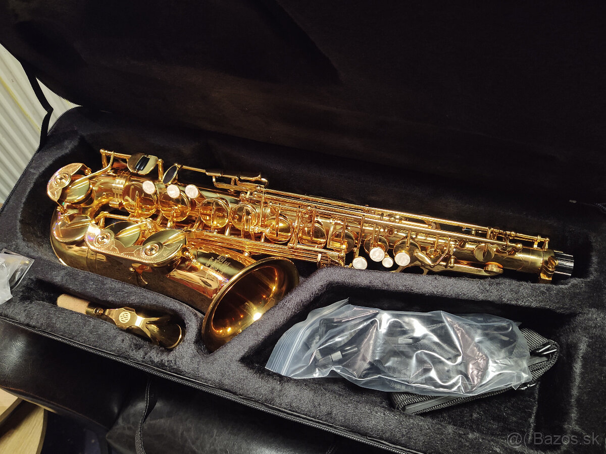 Detský saxofón Roy Benson AS-201