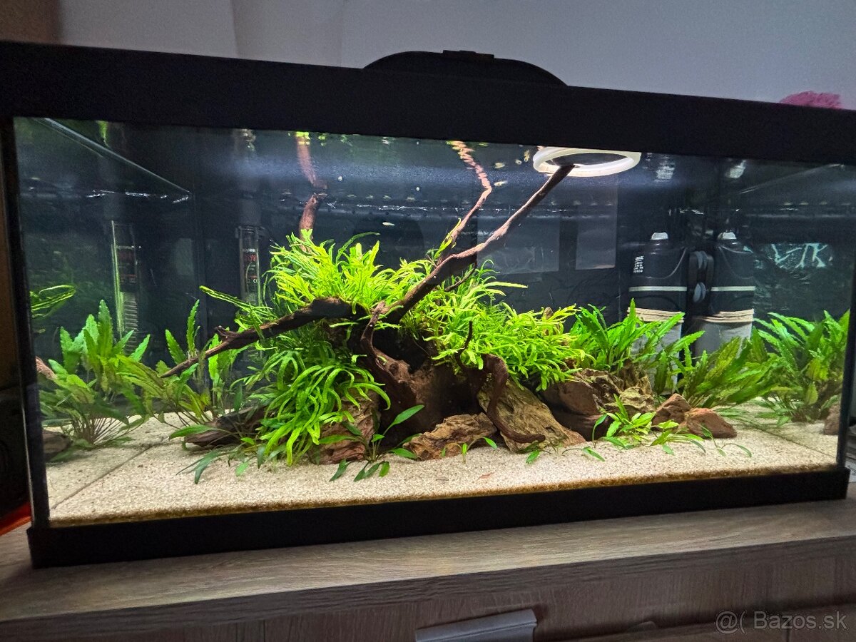 Akvárium 54L