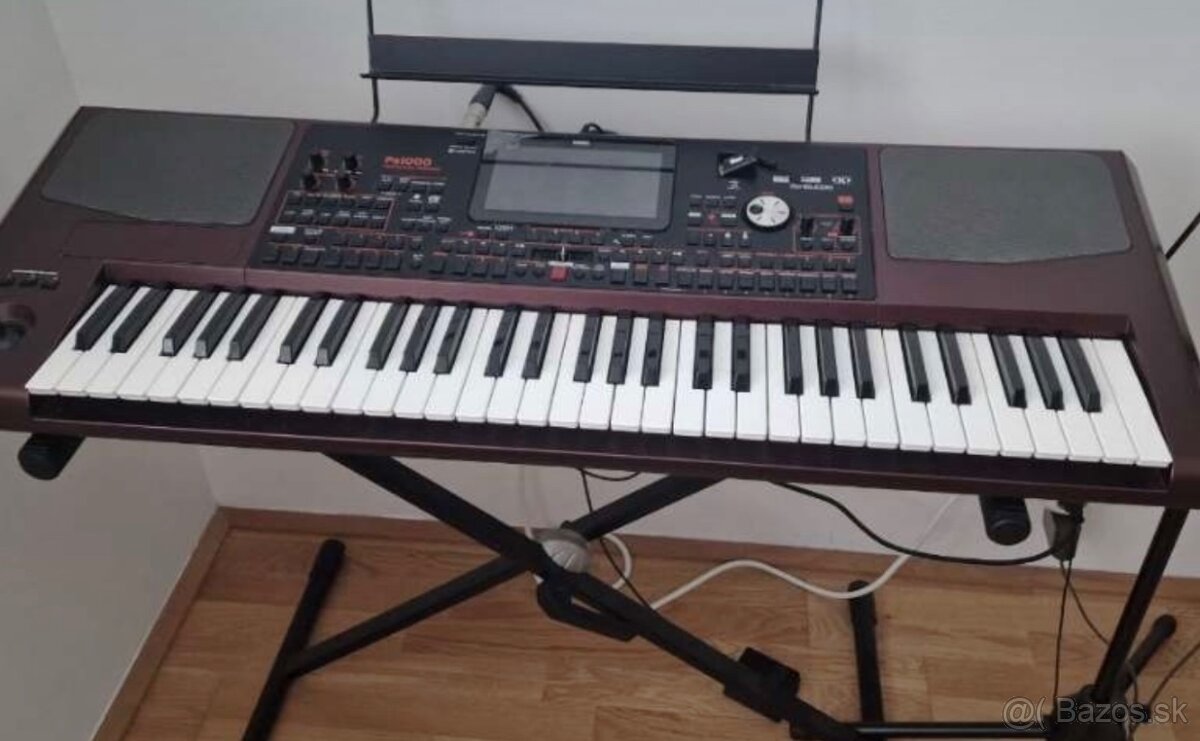 Korg pa1000