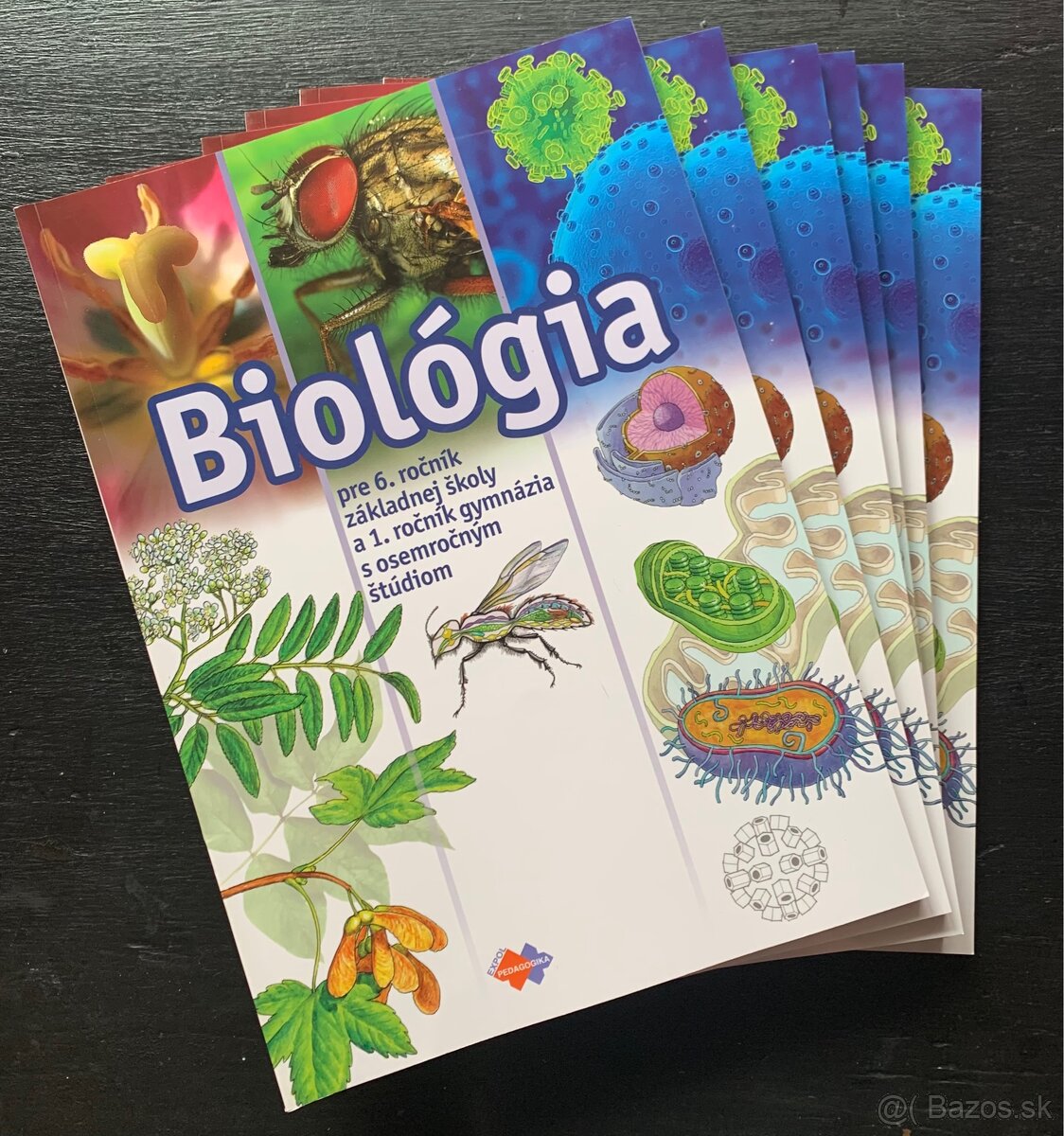 Biológia pre 6. ročník ZŠ a 1. ročník gymnázia s OŠ