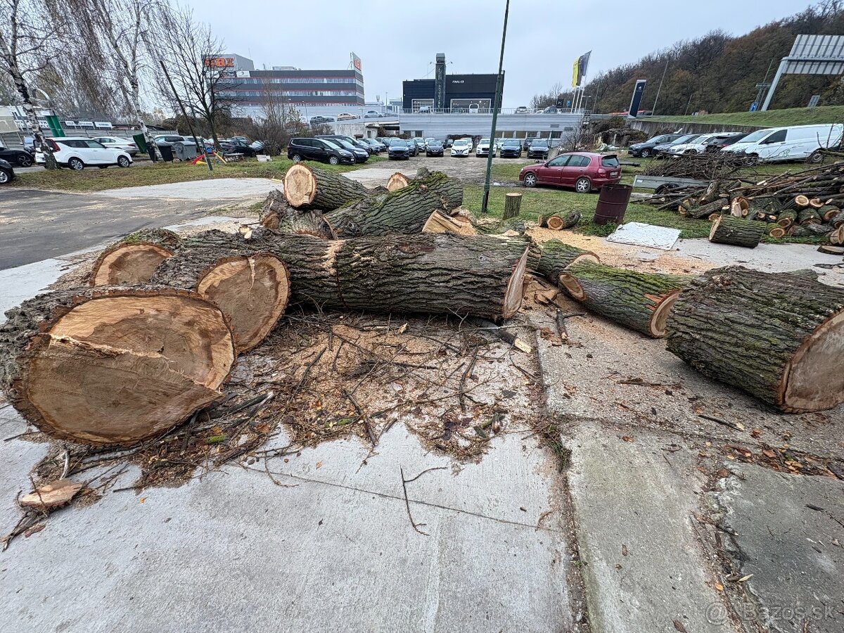 Darujem drevo za odvoz